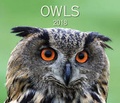 Cover: Owls 2018 - Firefly Books Ltd