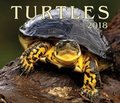 Cover: Turtles 2018 - Firefly Books Ltd