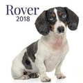 Cover: Rover 2018 - Firefly Books Ltd