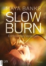 Cover: Slow Burn - Entfesseltes Verlangen - LYX
