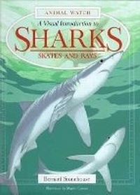 Enlarge image Cover: Sharks - Facts On File Inc