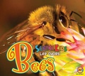 Cover: Bees - Av2