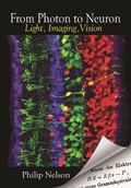 Cover: From Photon to Neuron - Princeton University Press