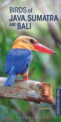 Enlarge image Cover: Birds of Java, Sumatra and Bali - Bloomsbury Natural History