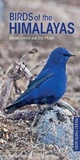 Bild: Birds of the Himalayas - Bloomsbury Natural History