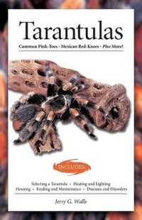 Abbildung von: Tarantulas (Advanced Vivarium Systems) - Companion House