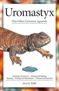 Abbildung von: Uromastyx (Advanced Vivarium Systems) - Companion House