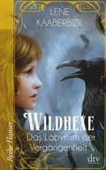 Cover: Wildhexe - Das Labyrinth der Vergangenheit - dtv