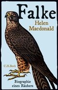 Cover: Falke - C.H.BECK