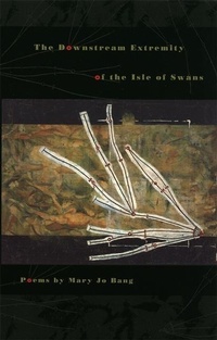 Enlarge image Cover: The Downstream Extremity of the Isle of Swans - University of Georgia Press
