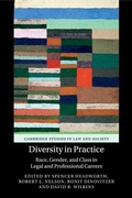 Cover: Diversity in Practice - Cambridge University Press