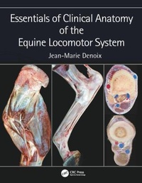 Abbildung von: Essentials of Clinical Anatomy of the Equine Locomotor System - CRC Press