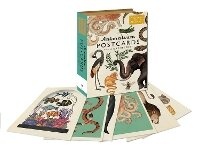 Enlarge image Cover: Animalium Postcards - Big Picture Press