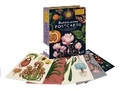 Cover: Botanicum Postcards - Big Picture Press