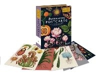 Enlarge image Cover: Botanicum Postcards - Big Picture Press