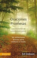 Cover: Oraciones Y Promesas - Vida Publishers