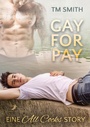 Cover: Gay for Pay - dead soft verlag