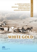 Cover: White Gold. French and Romanian Projects on Salt in the Extra-Carpathian Areas of Romania - Parthenon Verlag