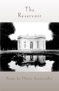 Enlarge image Cover: The Reservoir - University of Georgia Press