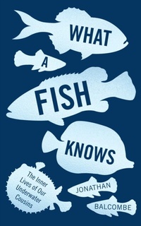 Abbildung von: What a Fish Knows - Oneworld Publications