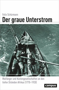 Abbildung von: Der graue Unterstrom - Campus