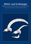 Cover: Mittel- und Gro&szlig;s&auml;uger - Michael Imhof Verlag