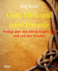 Cover: Gott, Hiob und seine Freunde - BookRix