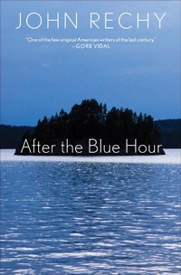 Enlarge image Cover: After the Blue Hour - Grove Press