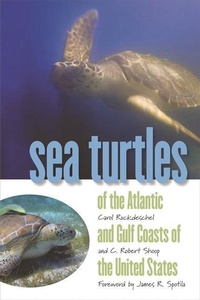 Abbildung von: Sea Turtles of the Atlantic and Gulf Coasts of the United States - Wormsloe Foundation Nature Books