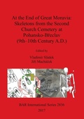 Cover: At the End of Great Moravia: Skeletons from the Second Church Cemetery at Pohansko-Breclav (9th-10th Century A.D.) - BAR Publishing