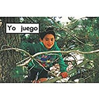 Abbildung von: Yo Juego (Playing) - Rigby