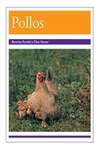 Abbildung von: Pollos (Chickens) - Rigby