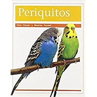 Abbildung von: Periquitos (Parakeets) - Rigby