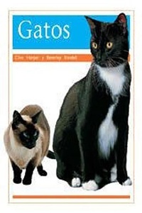 Abbildung von: Gatos (Cats) - Rigby