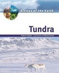Enlarge image Cover: Tundra - Facts On File Inc