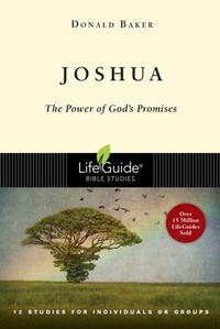 Abbildung von: Joshua - INTERVARSITY PRESS