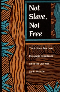 Abbildung von: Not Slave, not Free - Duke University Press