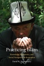 Cover: Practicing Islam - Princeton University Press