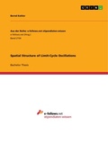Cover: Spatial Structure of Limit-Cycle Oscillations - GRIN Verlag