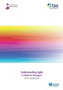 Cover: Understanding Agile: - The Stationery Office