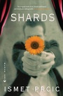 Cover: Shards - Black Cat