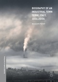 Cover: Biography of an Industrial Town - Palgrave Macmillan