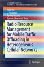 Cover: Radio Resource Management for Mobile Traffic Offloading in Heterogeneous Cellular Networks - Springer