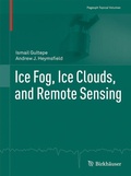 Cover: Ice Fog, Ice Clouds, and Remote Sensing - Springer
