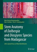 Cover: Stem Anatomy of Dalbergia and Diospyros Species from Madagascar - Springer