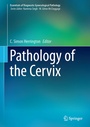 Bild: Pathology of the Cervix - Springer
