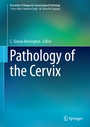 Bild: Pathology of the Cervix - Springer