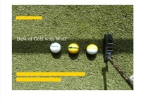 Abbildung von: Best of Golf with Wolf - epubli