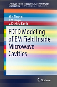 Enlarge image Cover: FDTD Modeling of EM Field inside Microwave Cavities - Springer