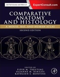Bild: Comparative Anatomy and Histology - Academic Press